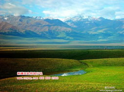 新疆當(dāng)?shù)貎?yōu)質(zhì)旅行社推薦及國內(nèi)旅游業(yè)務(wù)指南