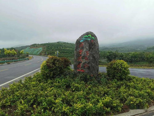 五蓮縣文化旅游工作周報(bào) 國內(nèi)旅游業(yè)務(wù)穩(wěn)步推進(jìn)